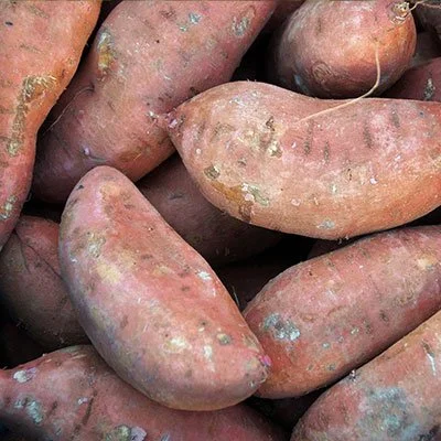 Sweet Potatoes