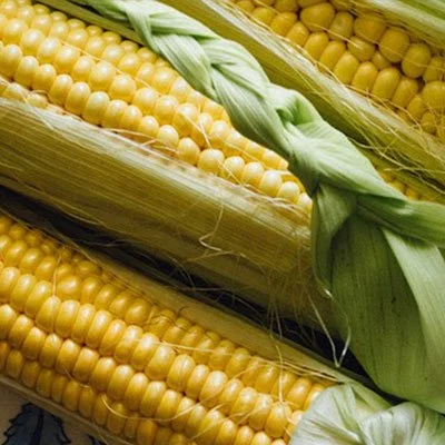 corn