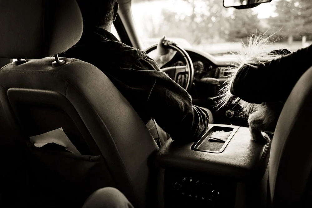 20141108-1410-Wheeless.jpg