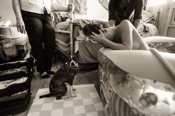 Woman's best friend in labor