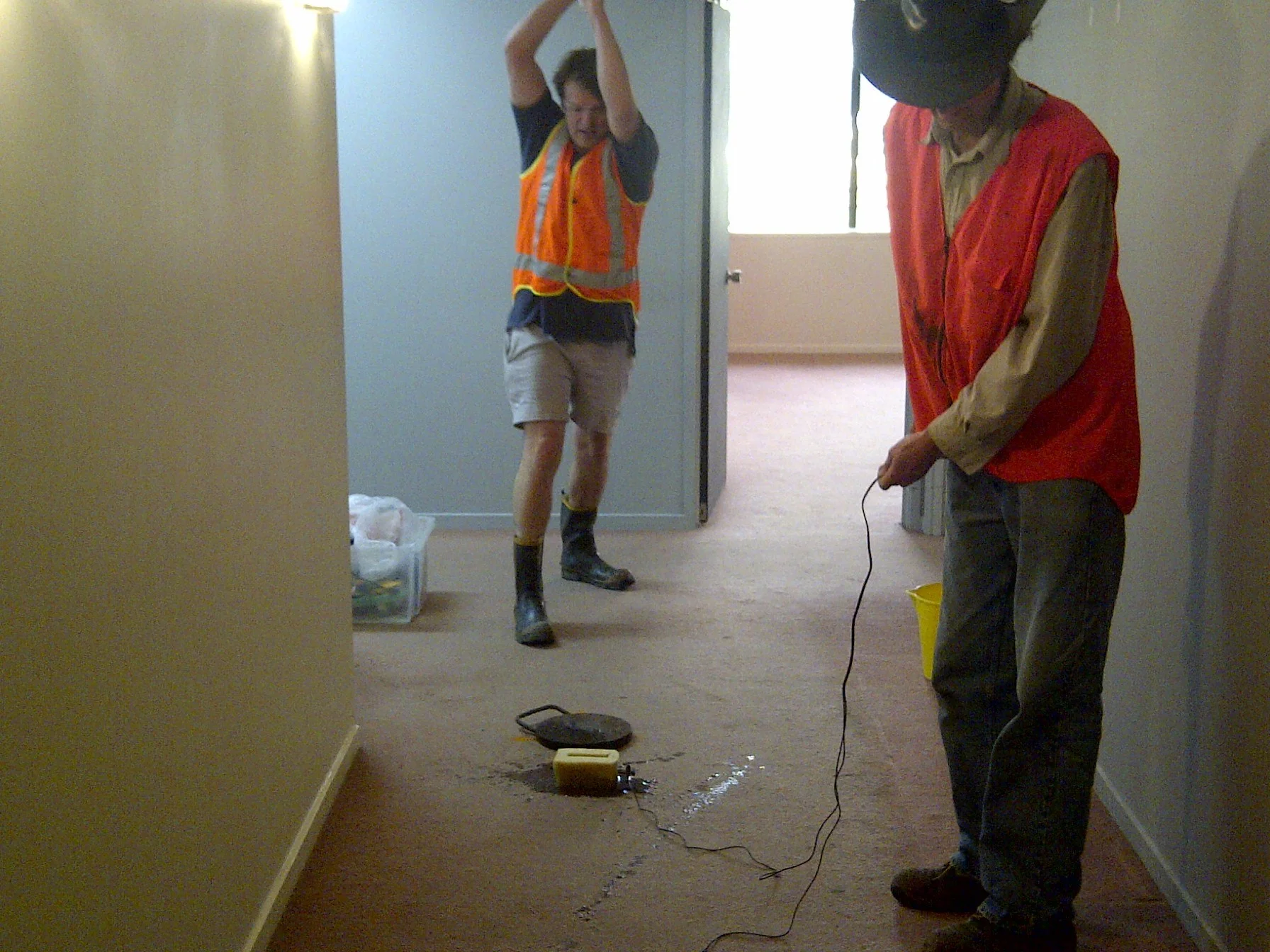 Survey being done indoors in Auckland New Zealand