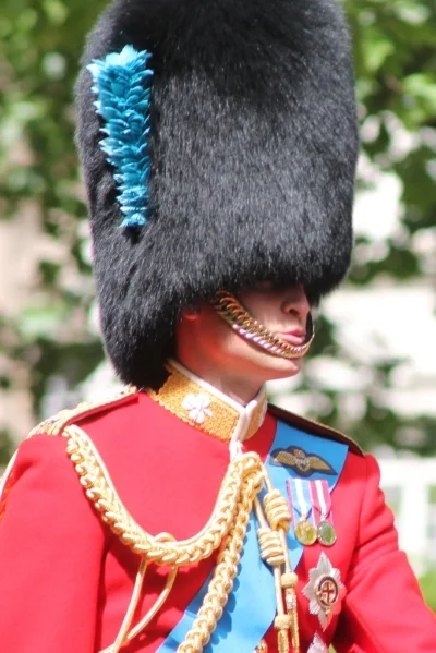HRH The Duke of Cambridge and Baron Carrickfergus, Colonel of the Irish Guards. Image Credit: Carfax2 via Wikimedia Commons cc
