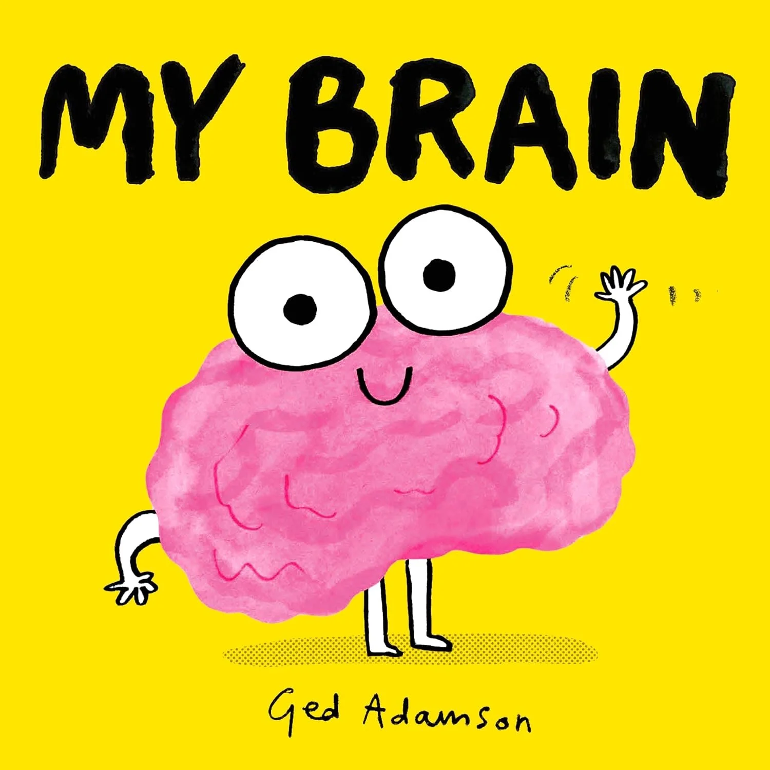 My Brain