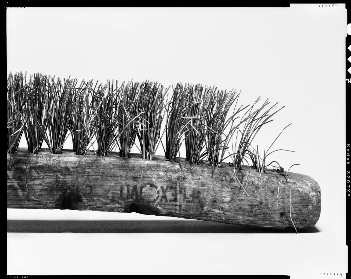 jarren vink wire brush 4x5 tool photographer still life art studio new york photo photography