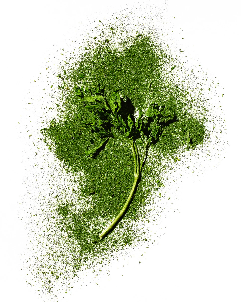jarren vink parsley food bon appetit photographer still life art studio new york photo photography