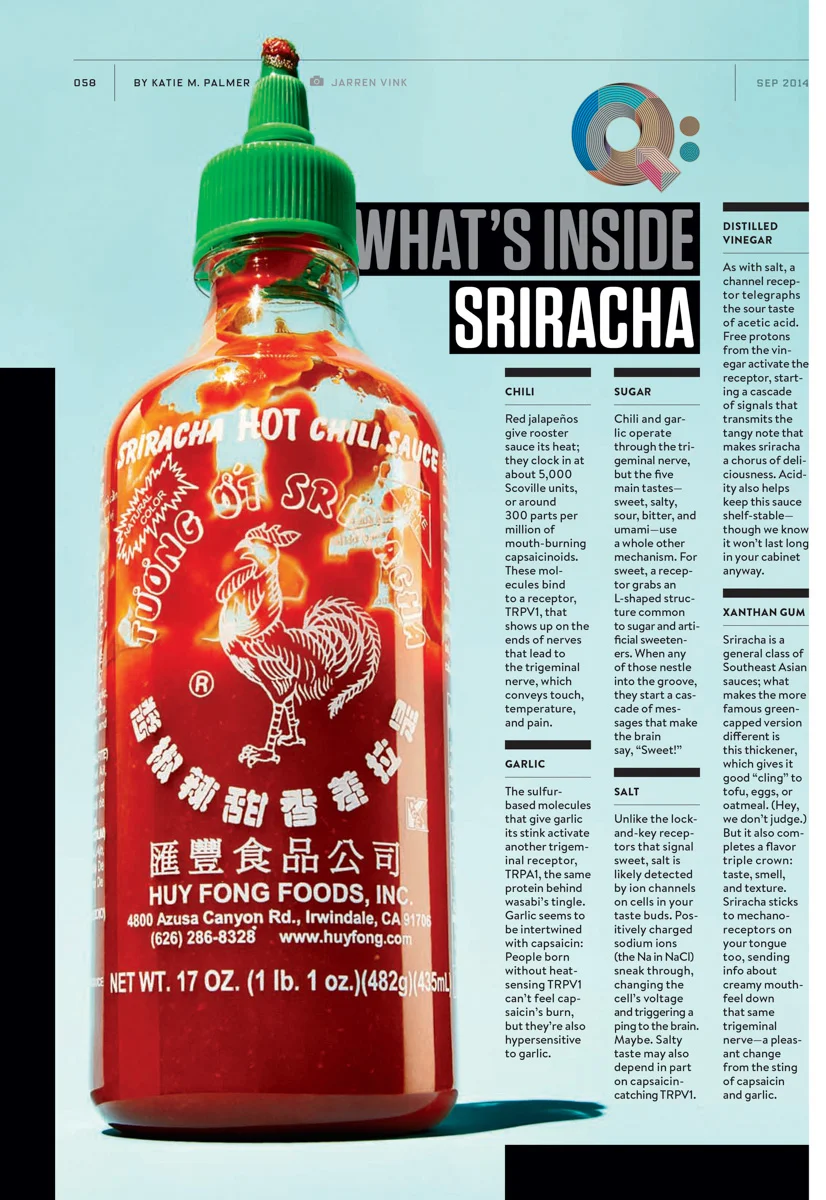 jarren vink wired sriracha tearsheet photographer still life art studio new york photo photography