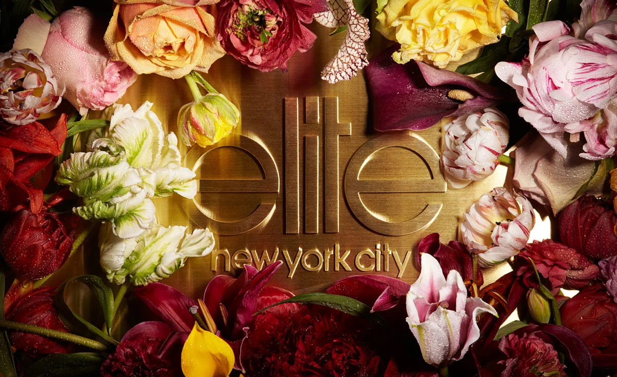 jarren vink elite tearsheet photographer still life art studio new york photo photography