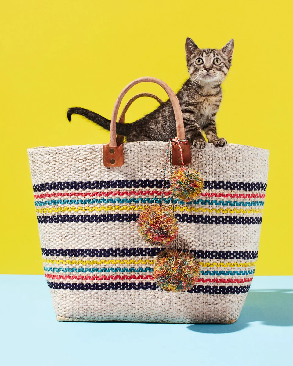 CTS051016NutrishRedbookCats025R.jpg
