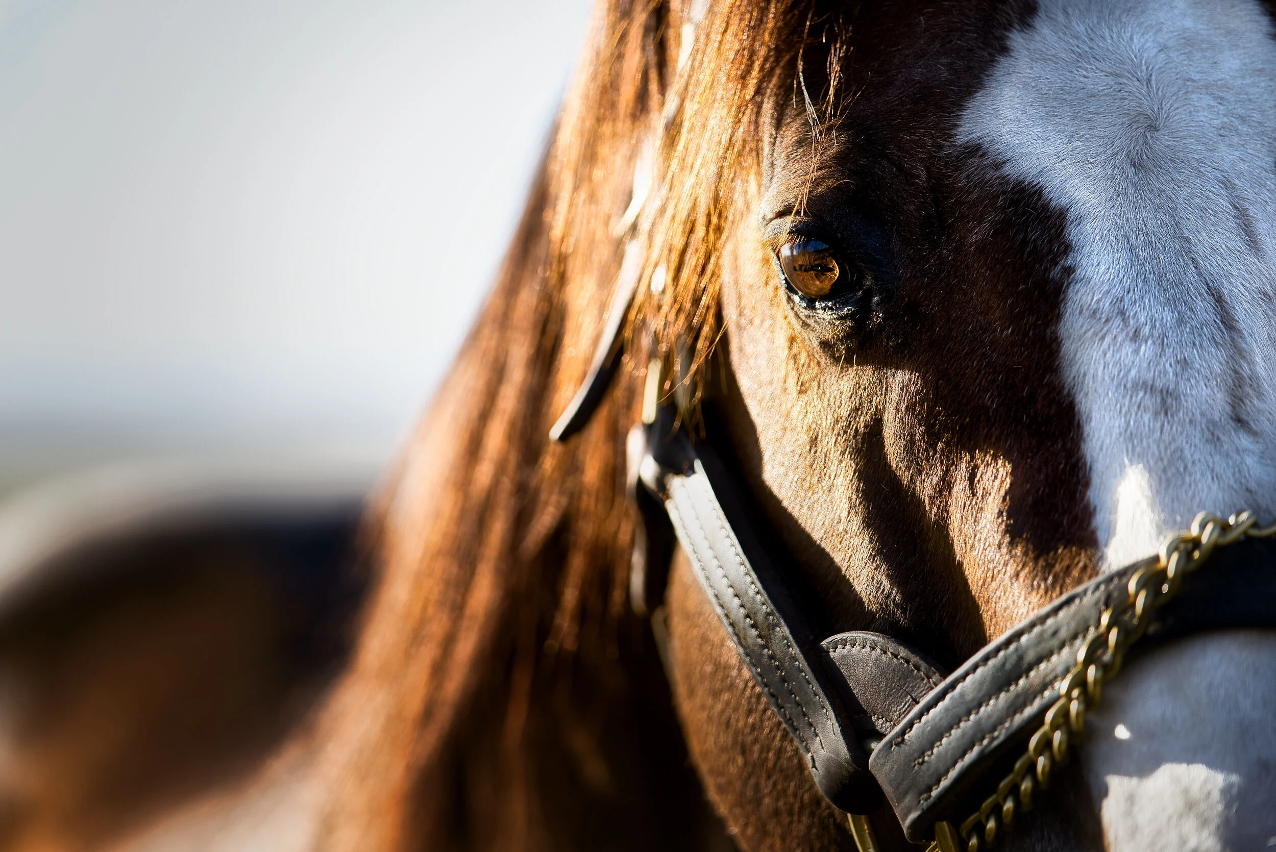 0E32F876-5A31-47D6-916B-BE16005570C5 2.JPEG