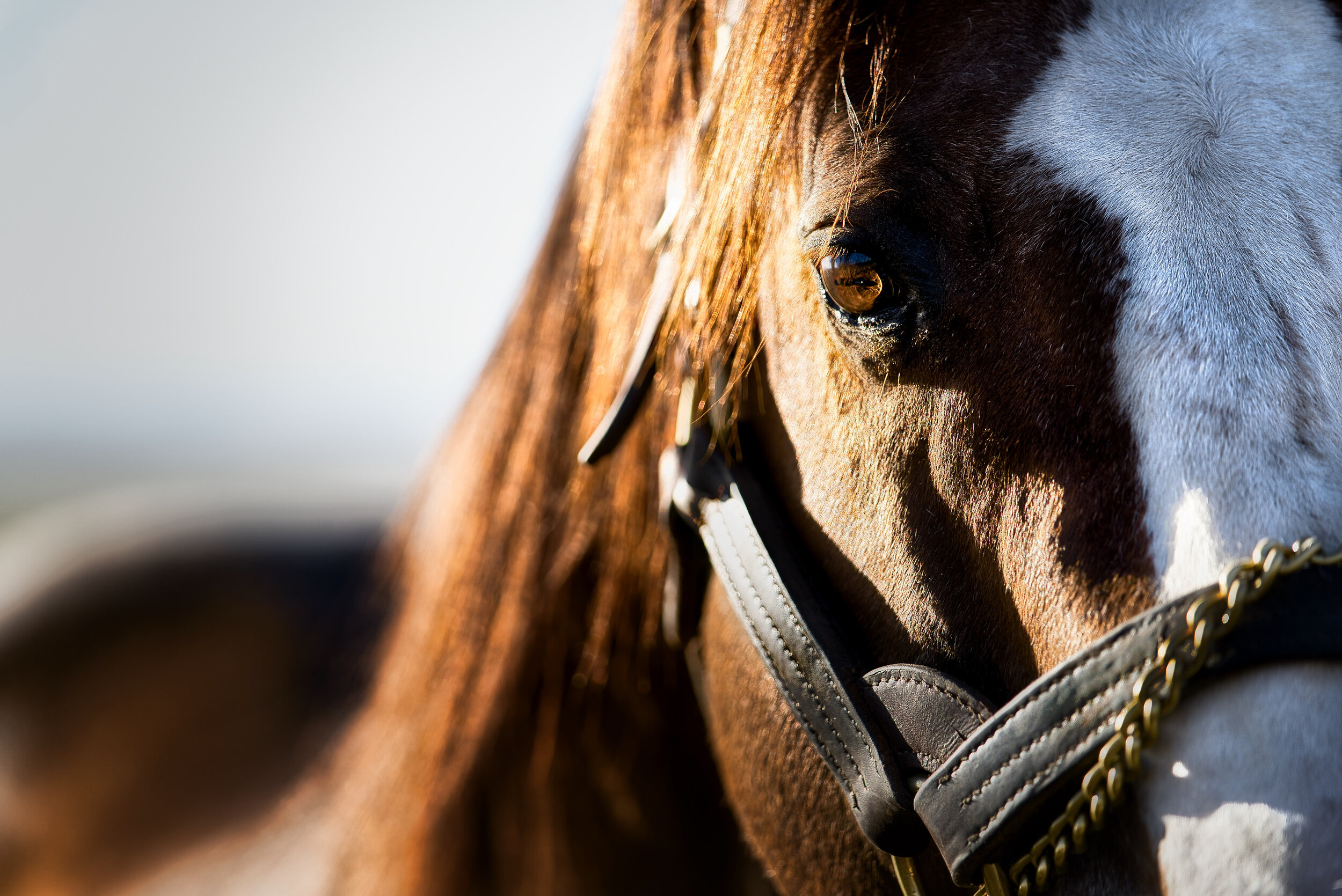 0E32F876-5A31-47D6-916B-BE16005570C5 2.JPEG