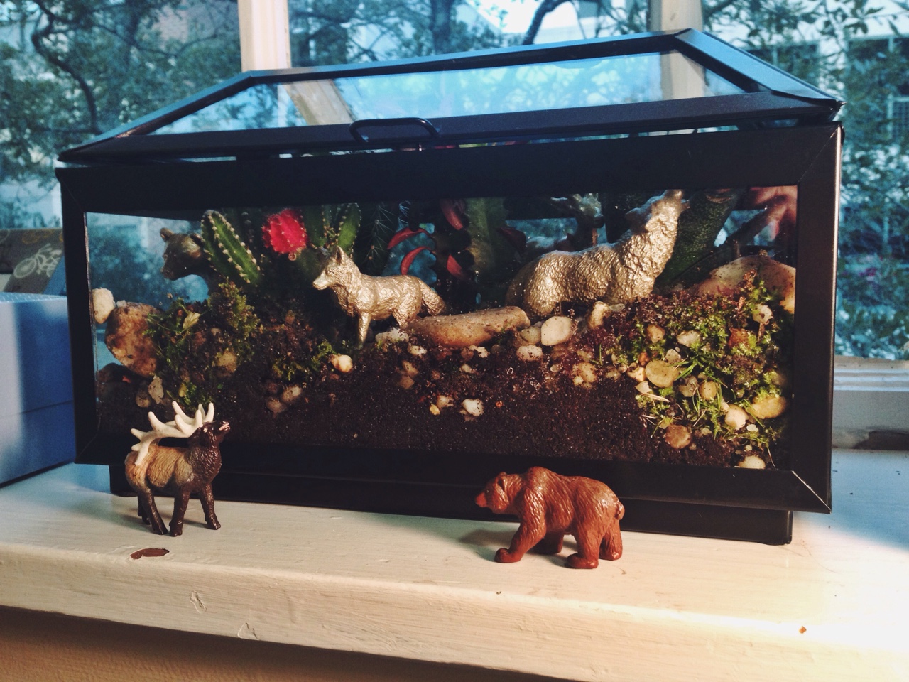 My mom helped me make this terrarium for our apartment using the container that held our wedding favors and the plastic animals from our groom’s cake. I’m excited to have a few more plants in the room and even more excited that we were able to repurpose some sentimental objects from the wedding reception. Now if I can just keep them alive for a while! I would be grateful for any advice on how to keep succulents alive.
