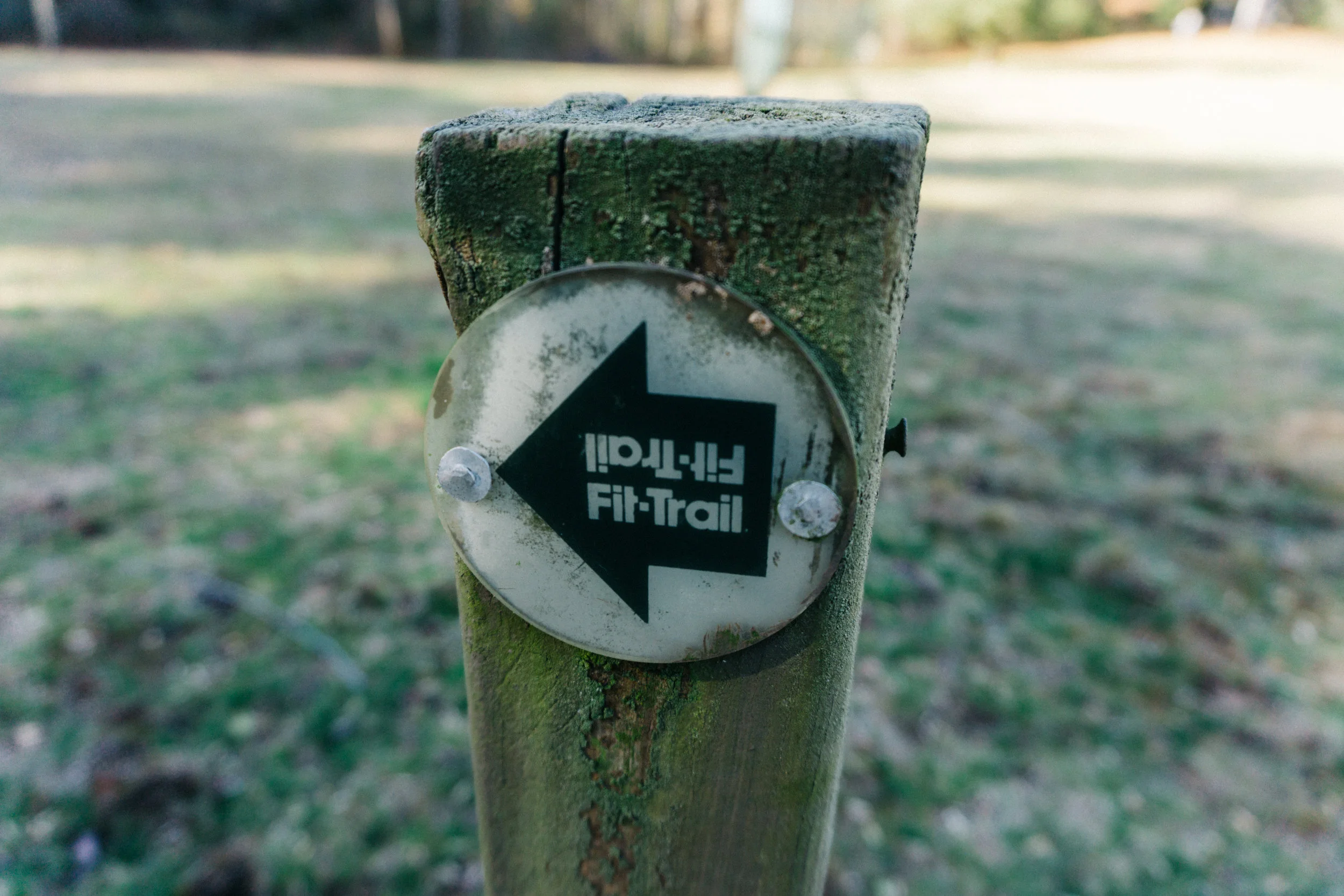 Kanuga — Thistle Bee