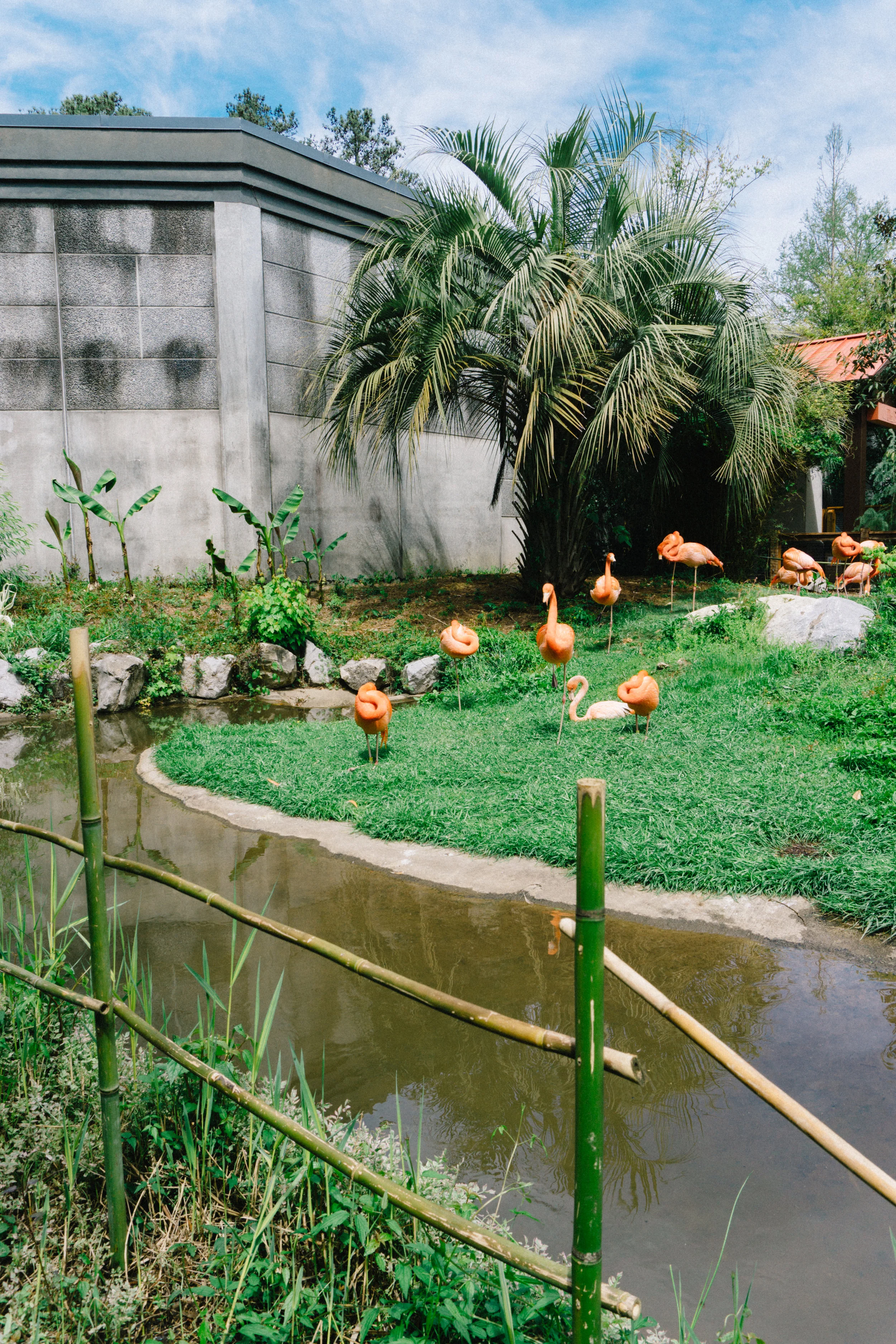 Riverbanks-Zoo-Columbia-SC-166.jpg
