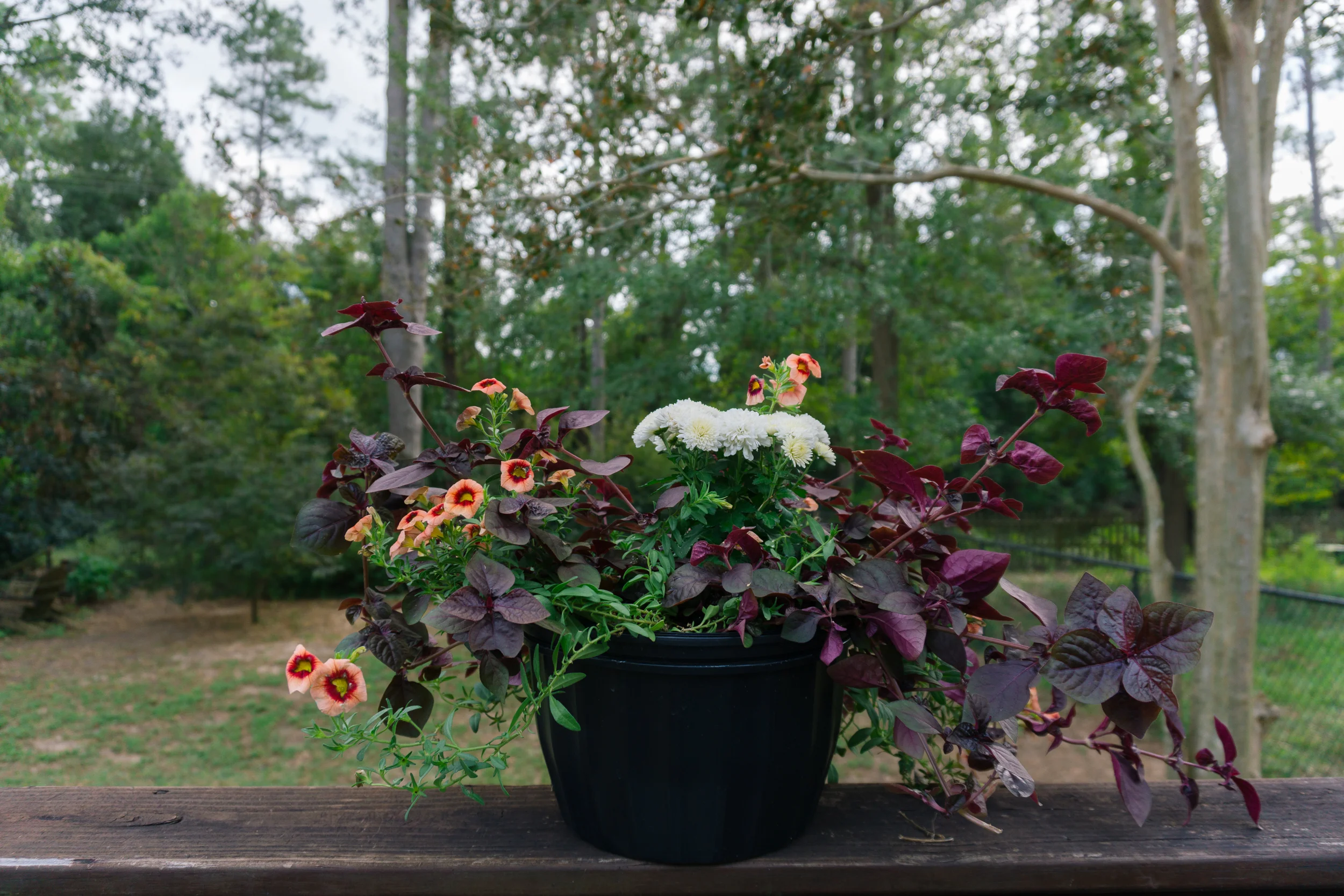 Fall-Flowers-2.jpg