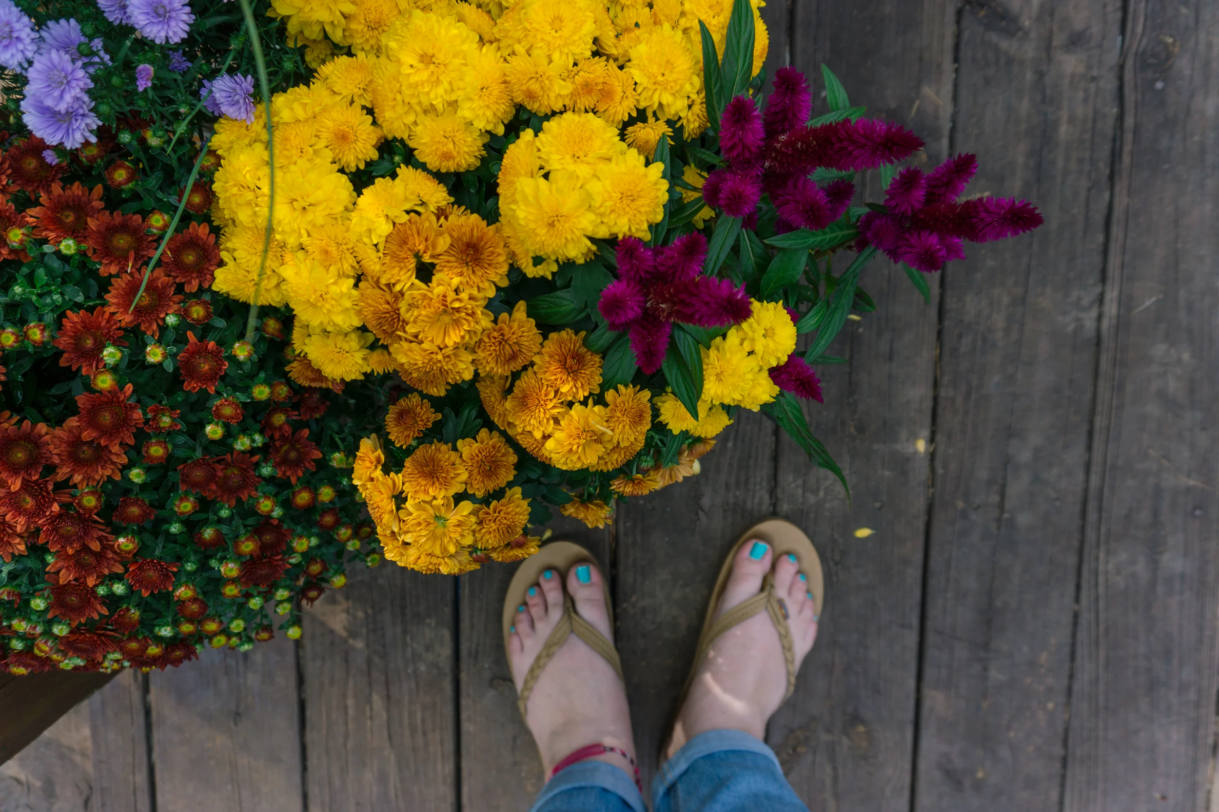 Fall-Flowers-10.jpg