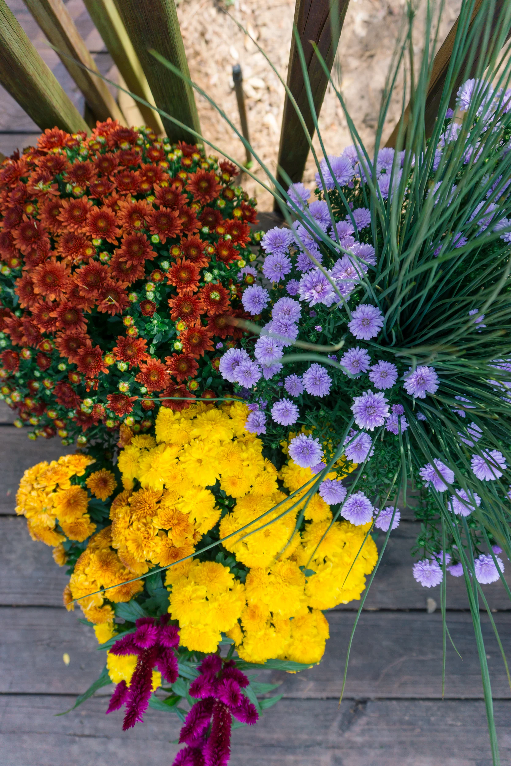 Fall-Flowers-9.jpg