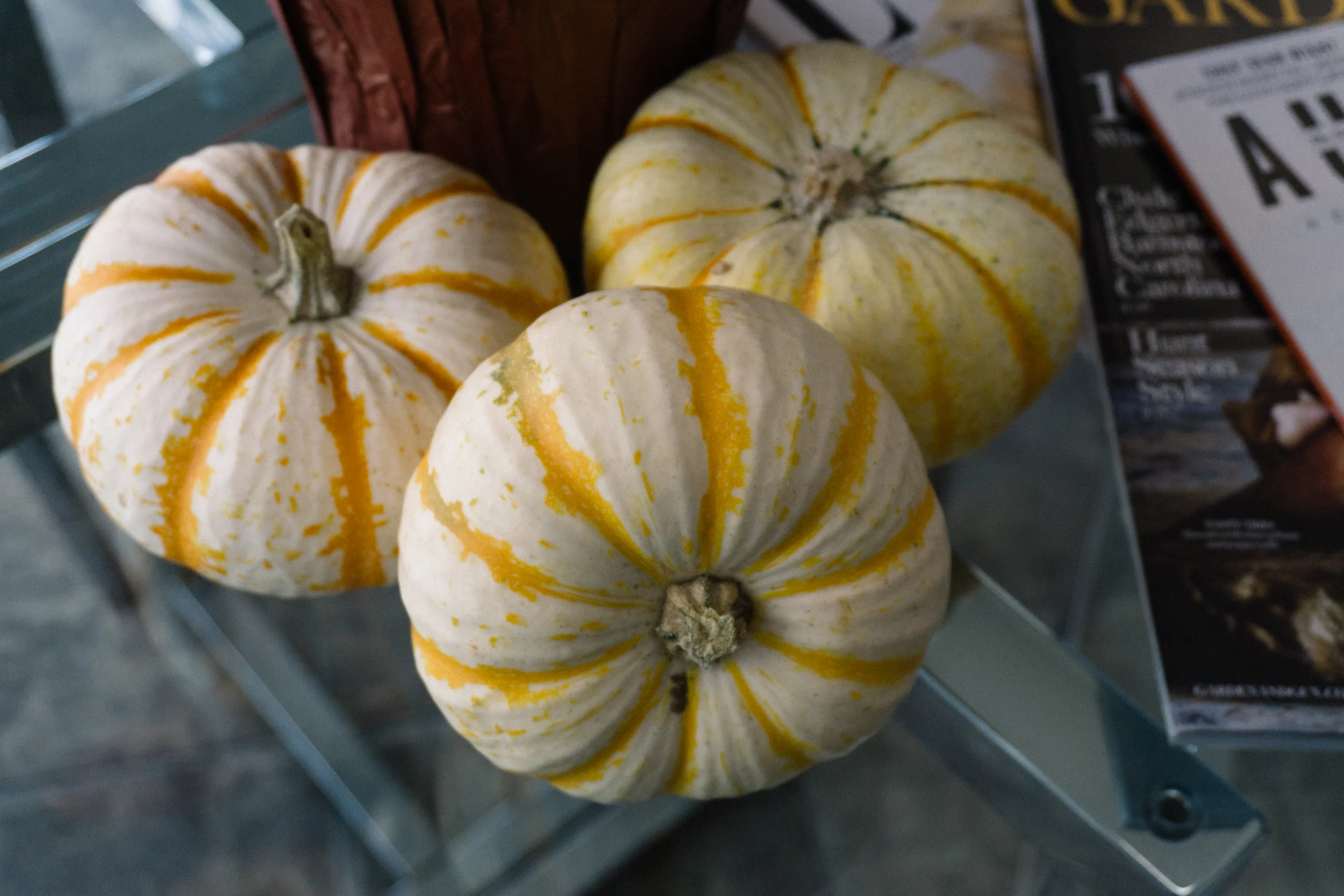 halloween-decor-40.jpg