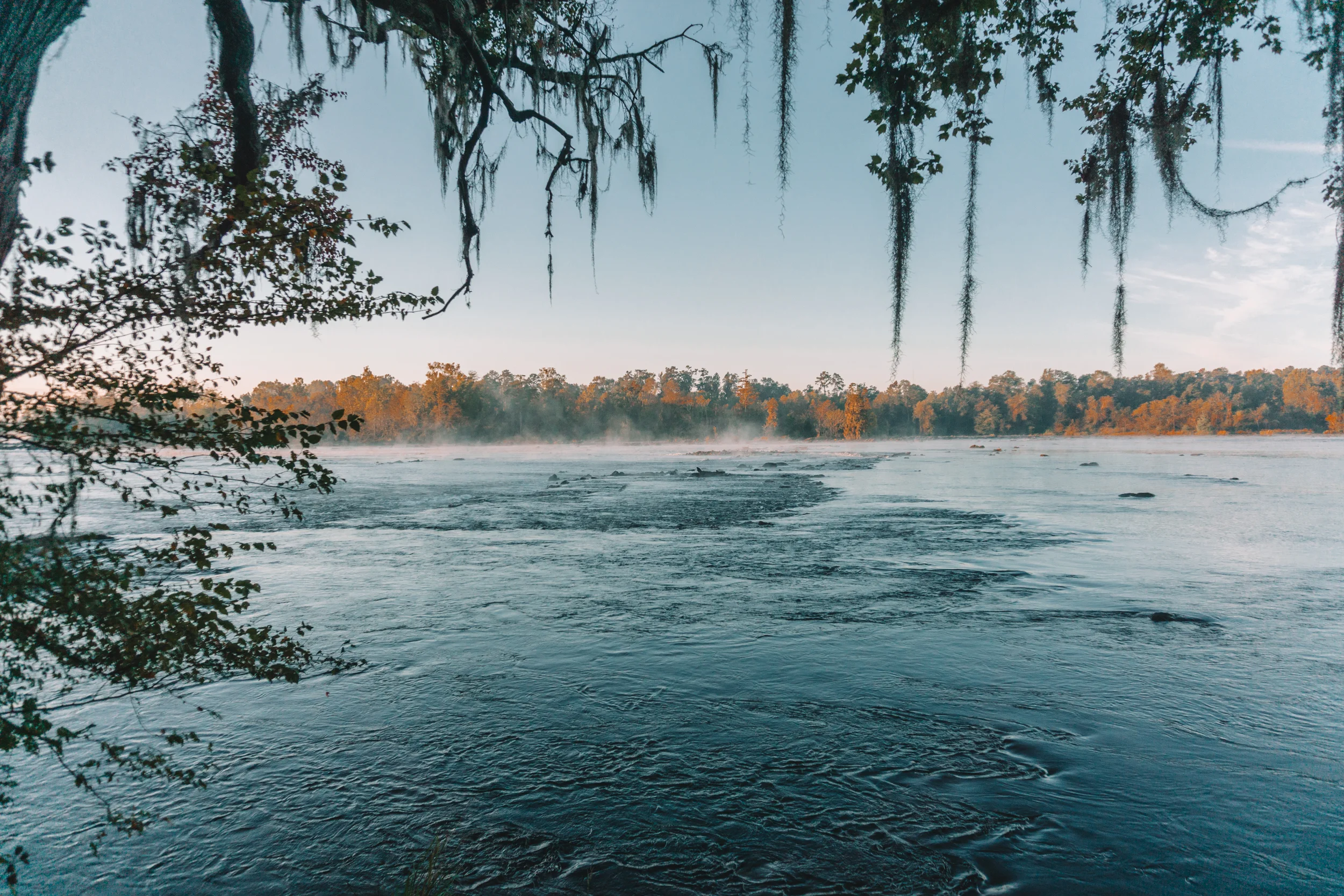 savannah-river-bluffs-fall-76.jpg