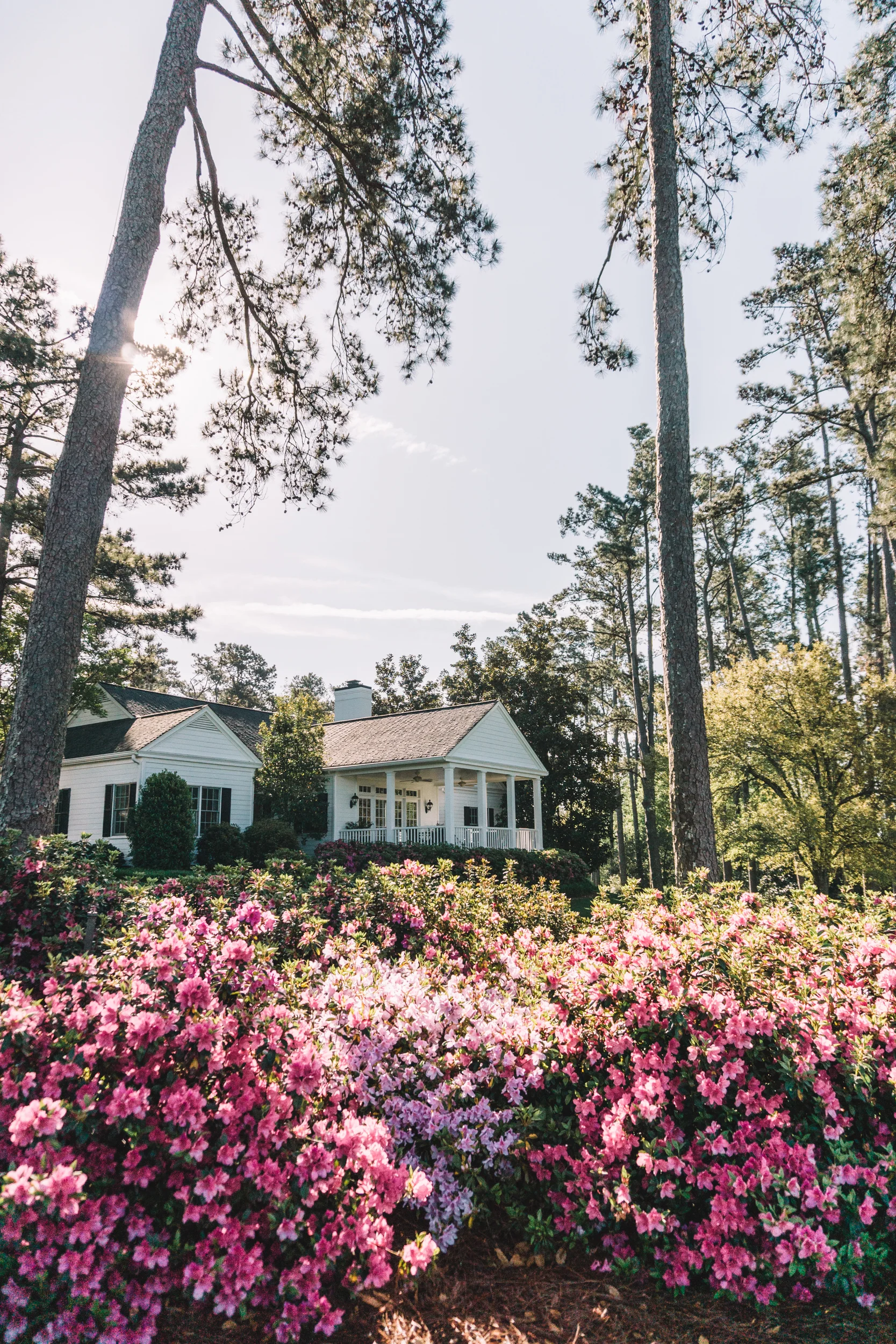 Masters-2018-21.jpg