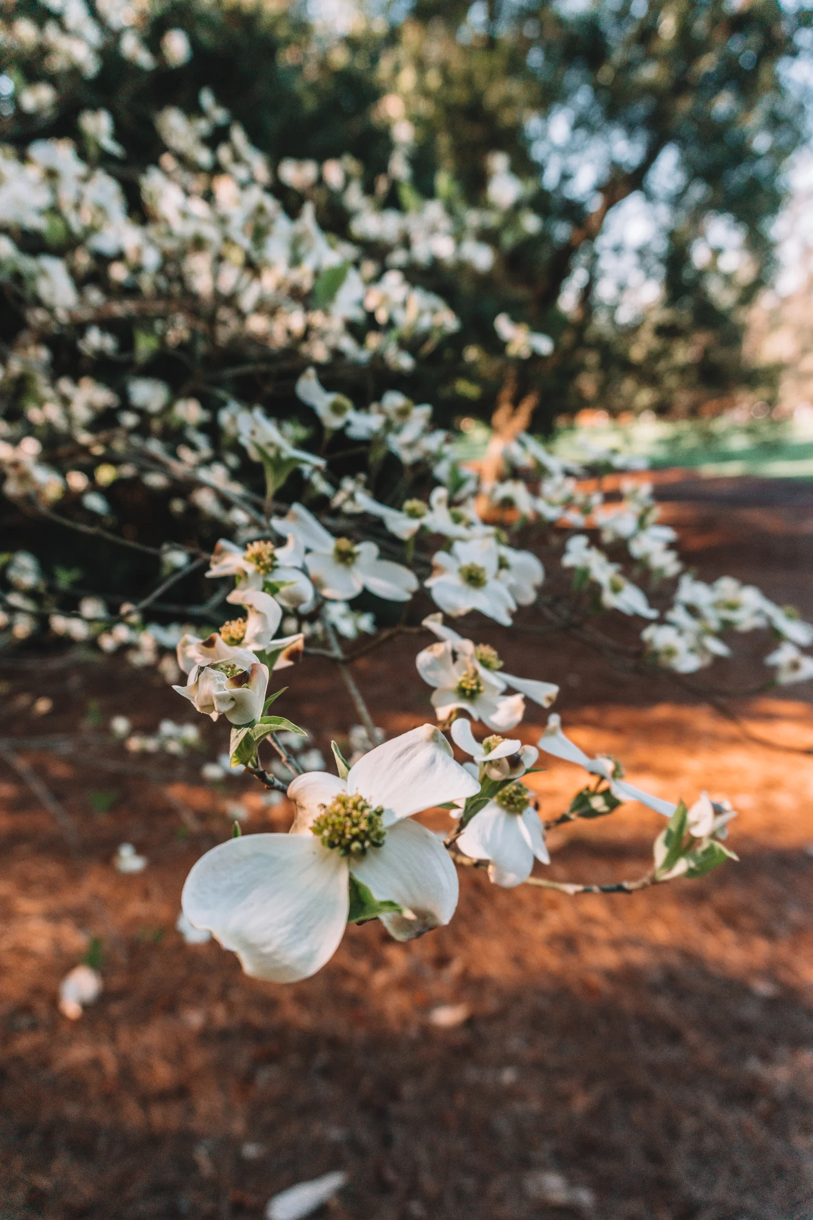 Masters-2018-25.jpg