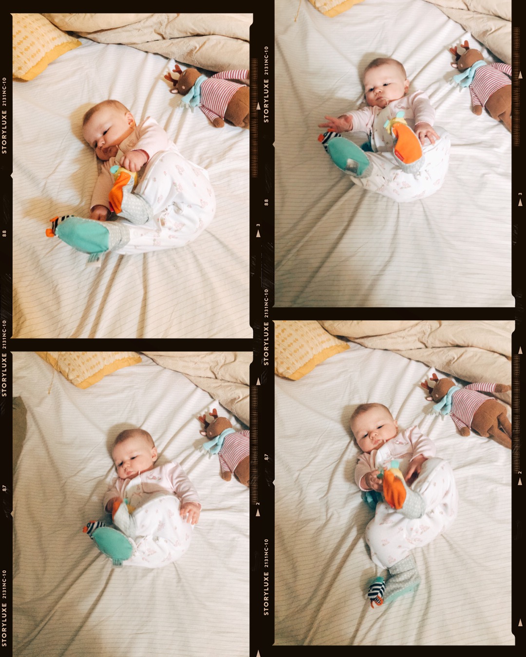 IMG_7040.jpeg