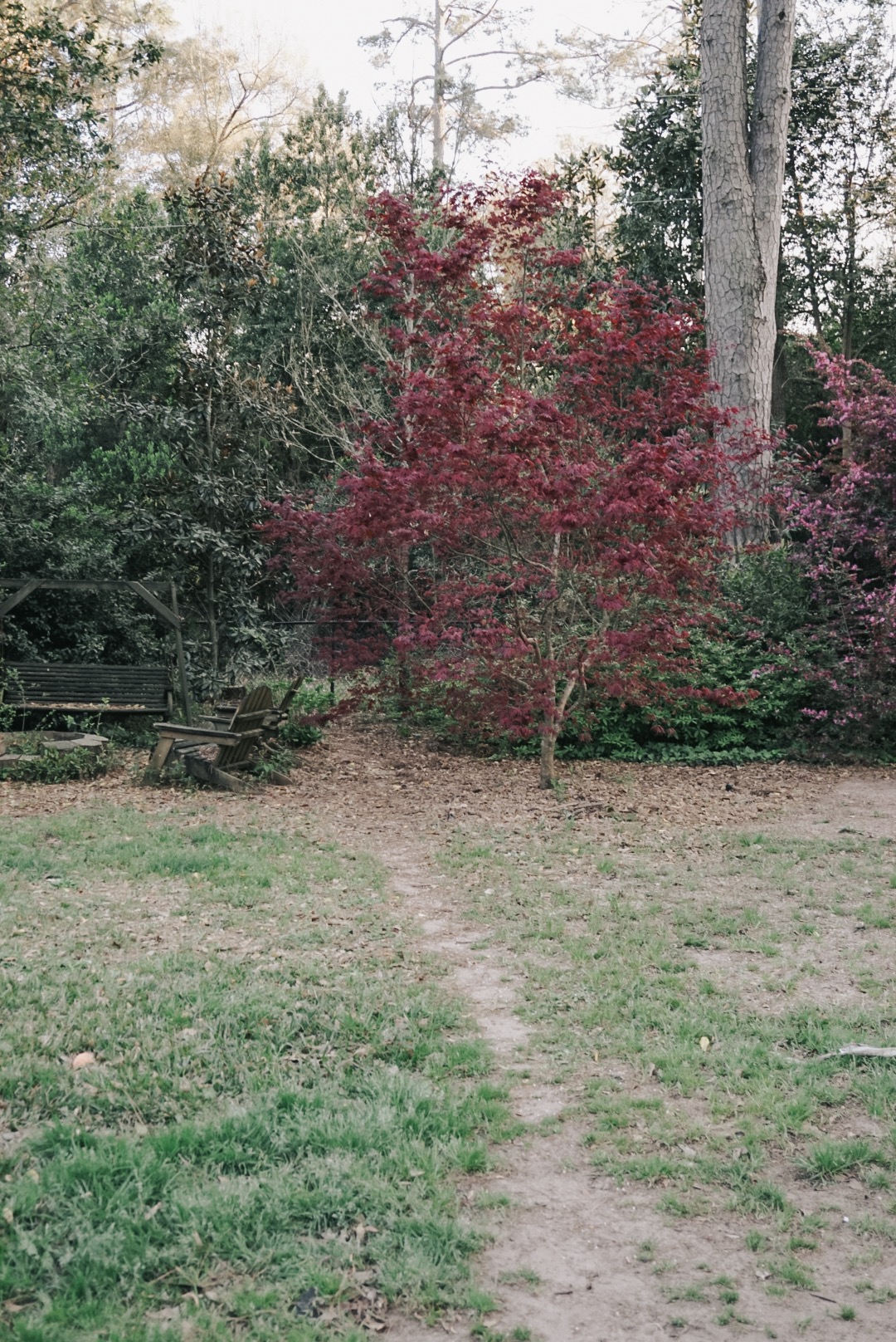 LRG_DSC06486.jpeg