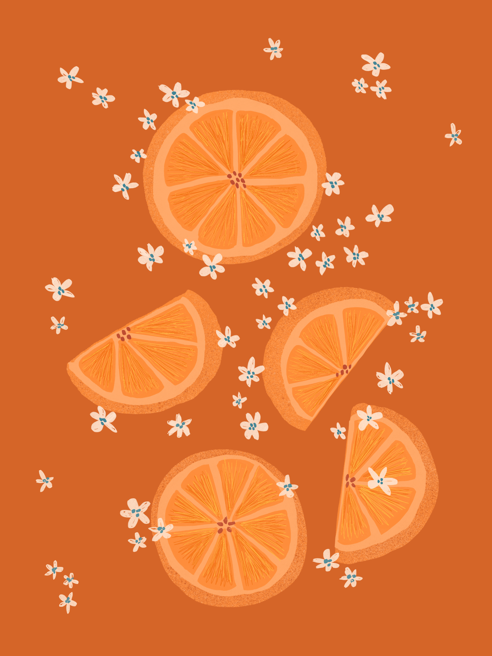 oranges.PNG