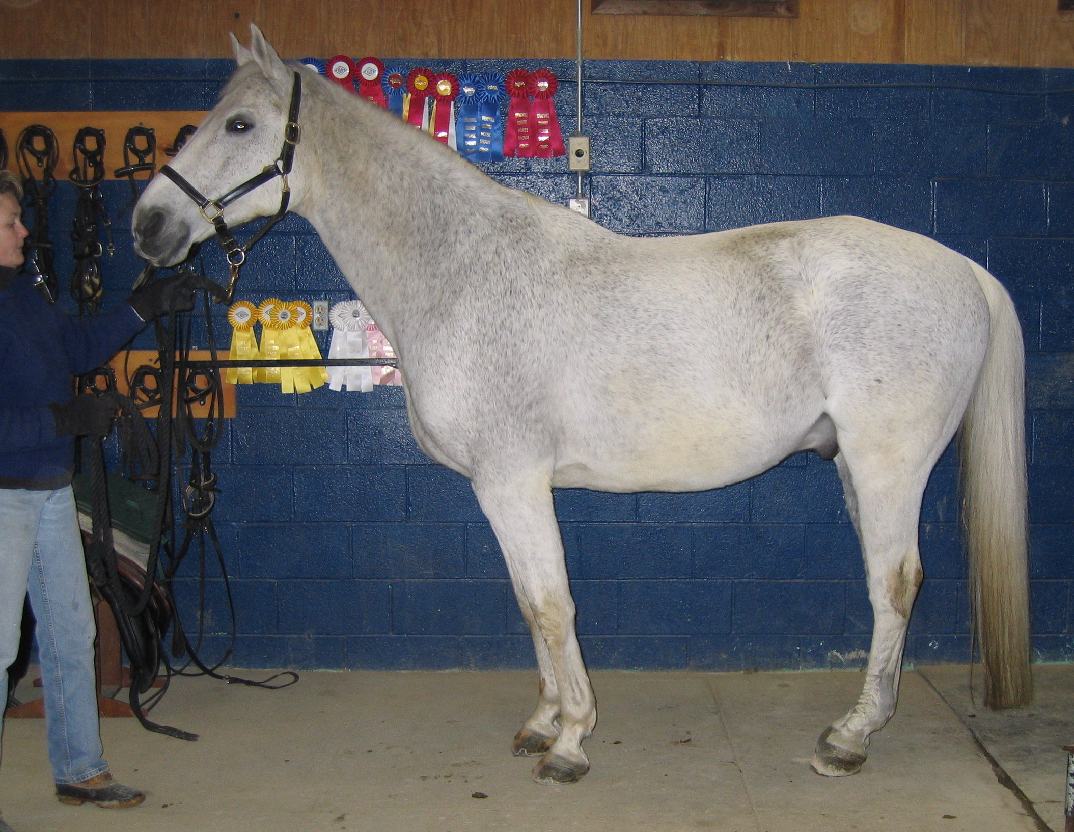 Abnormal Compensatory Posture 
