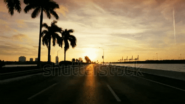 ezgif.com-optimize (3).gif