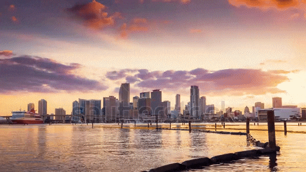 ezgif.com-optimize (4).gif