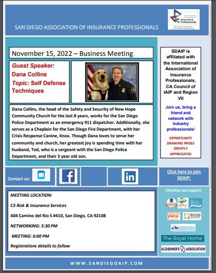 SDAIP November Business Meeting 