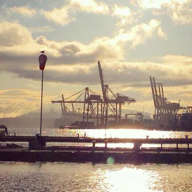 Port of Vancouver is pretty this morning #vancouver #vancouverharbour #portofvancouver #sunrise