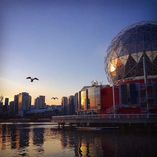 Geese flying by the spaceball #yvr #spaceball #vancouver