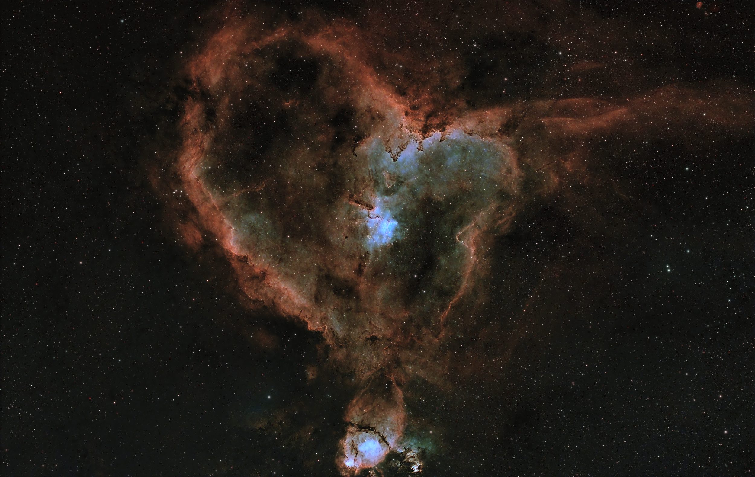 Heart Resized.png