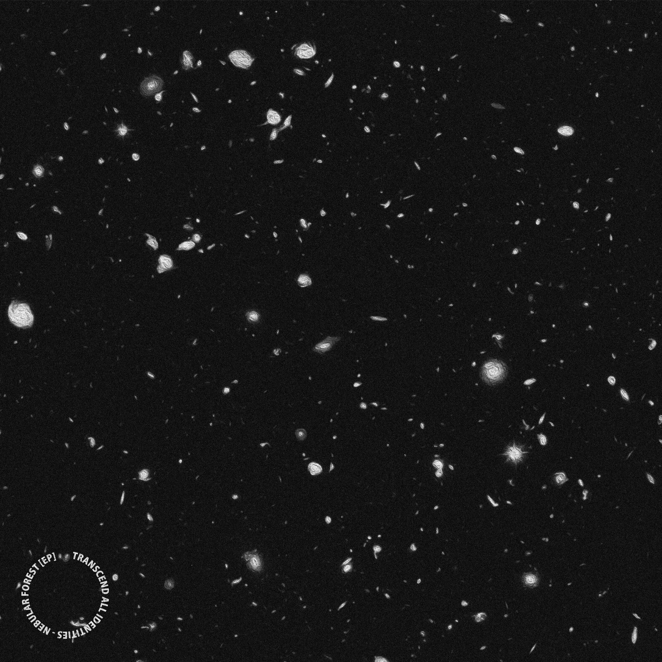 Transcend All Identities - Nebular Forest [EP]