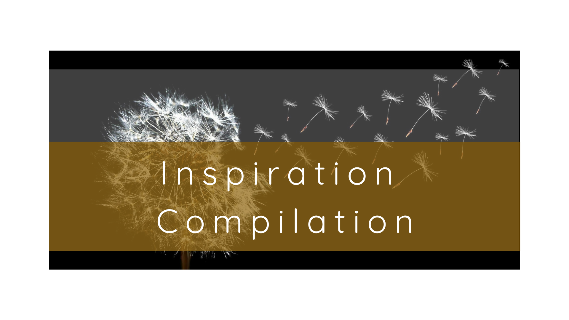 Introduction to the Company (3).png