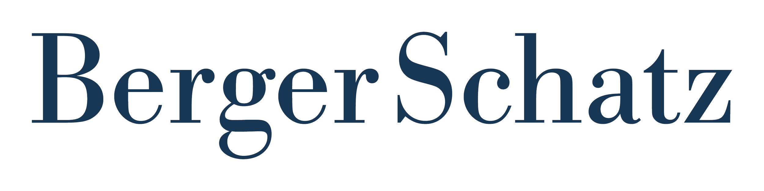 Berger Schatz Horizontal Logo RGB (002).png