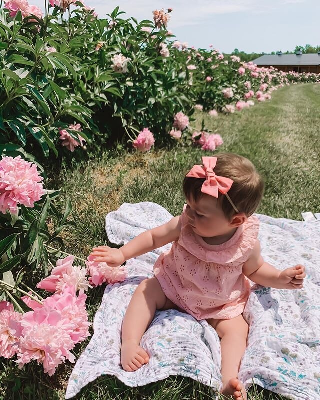 yesterday&rsquo;s trip to the peony farm 🌸 definitely will be making this an annual tradition with mom mom! i can&rsquo;t believe next year we&rsquo;ll have TWO sweet baby girls to bring! #gemmajiac #peonyfarm