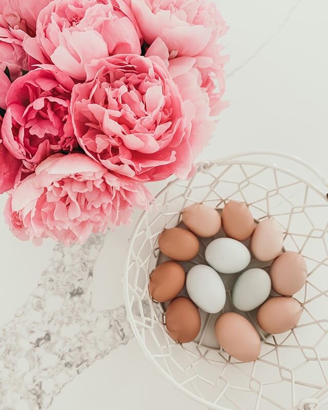 our girls have been laying a dozen a day recently 🌸 we are so proud of them! if you&rsquo;re local and want fresh eggs, DM me! 🤍 #jiacranch #eggsandblooms #peonies