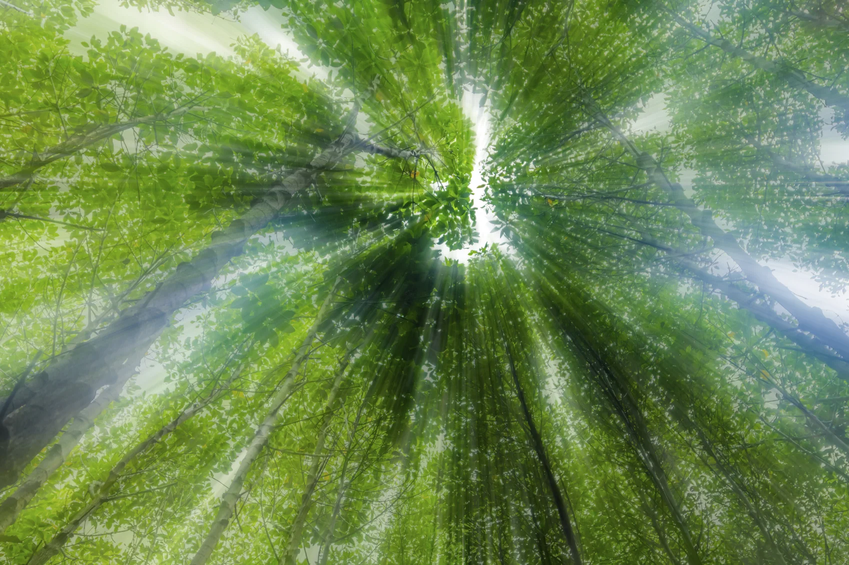Have you experienced long periods of depression, stress or trauma? You may want to consider a spiritual clearing. 