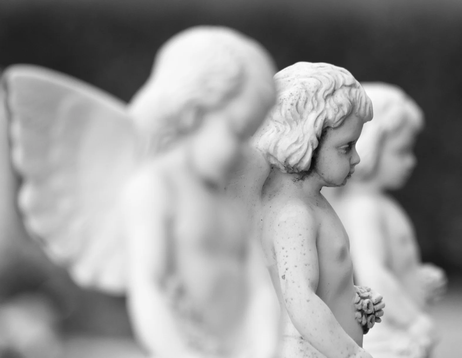 Angels gently usher light into the hearts of all. Their mission: to help you shine in big and bright ways.