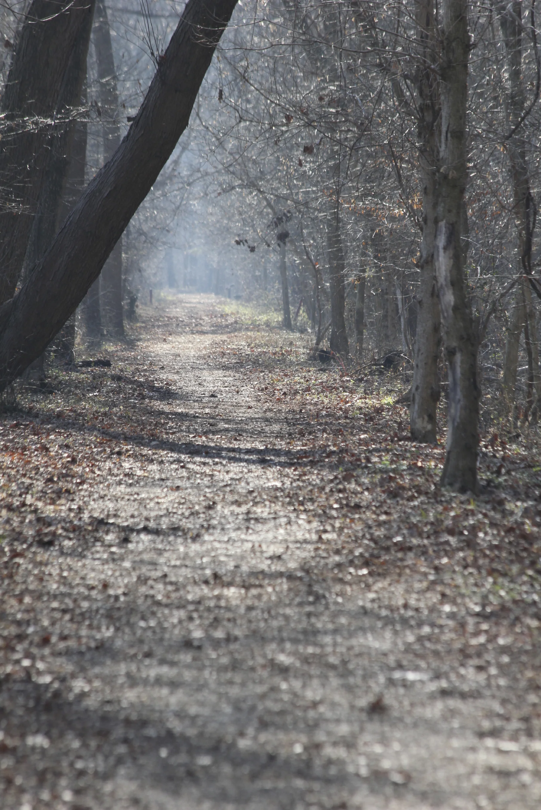 The grief process starts with an invitation to accept and understand - or to leave the present moment and live in old stories and past relationships.
