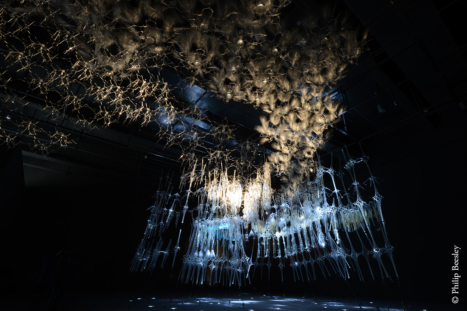   Epiphyte Chamber,  Aleph Exhibition, Seoul 