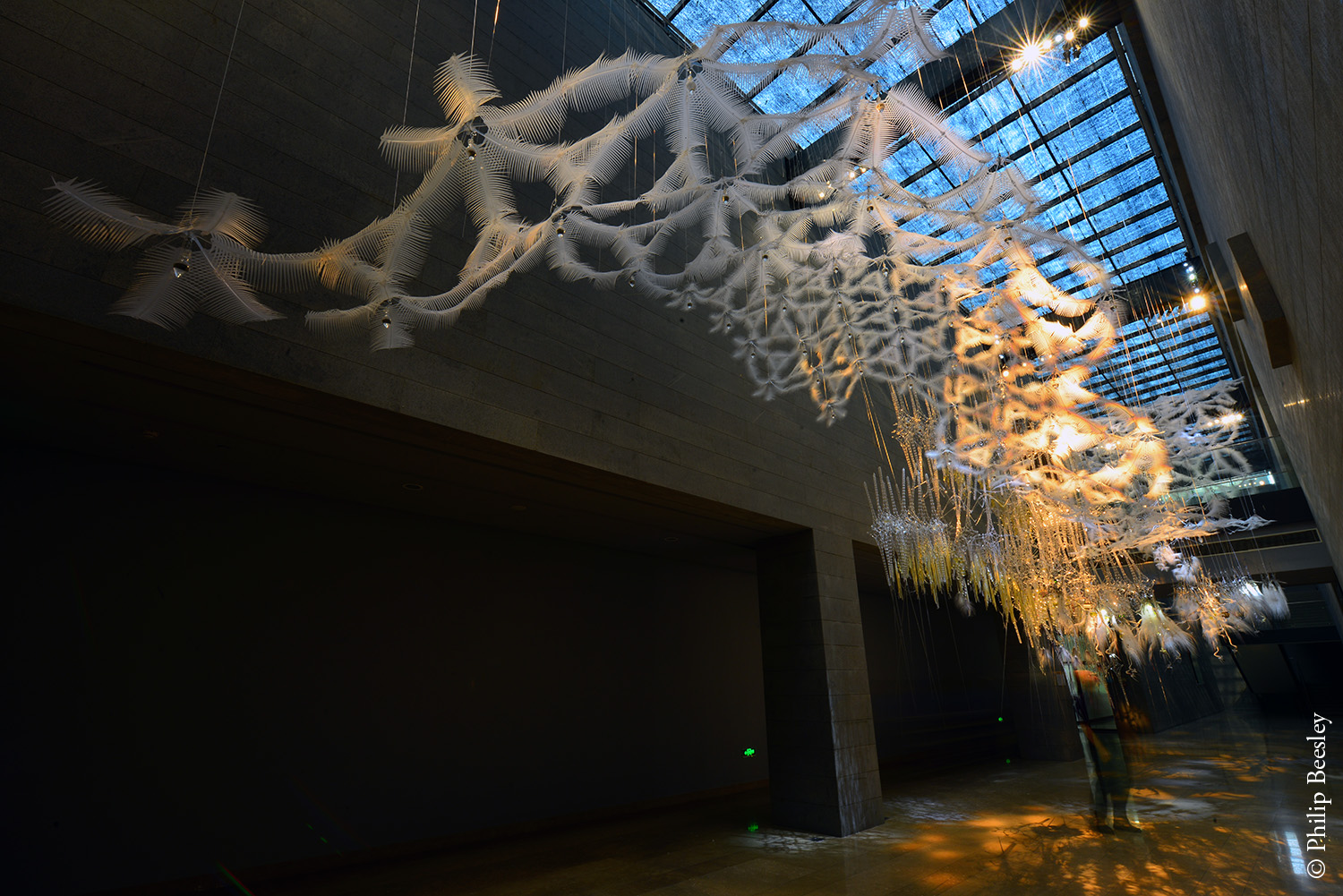   Epiphyte Spring,&nbsp;  Fiber Trienniale,&nbsp;Hangzhou  