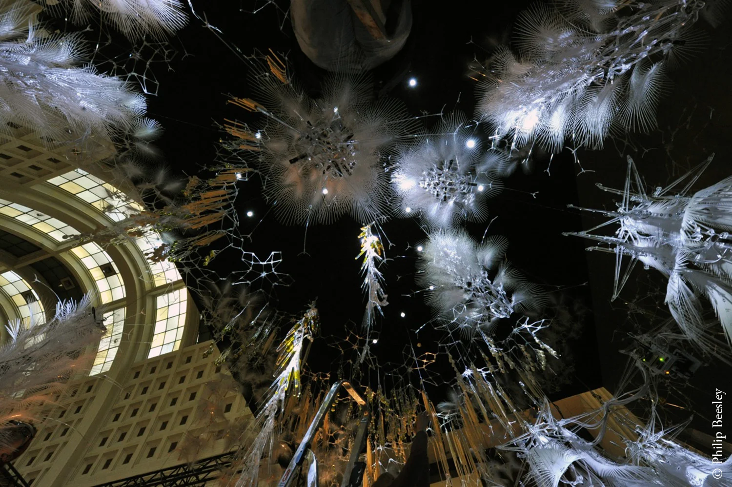 Protocell Field , Dutch Electronics Art Festival, Rotterdam