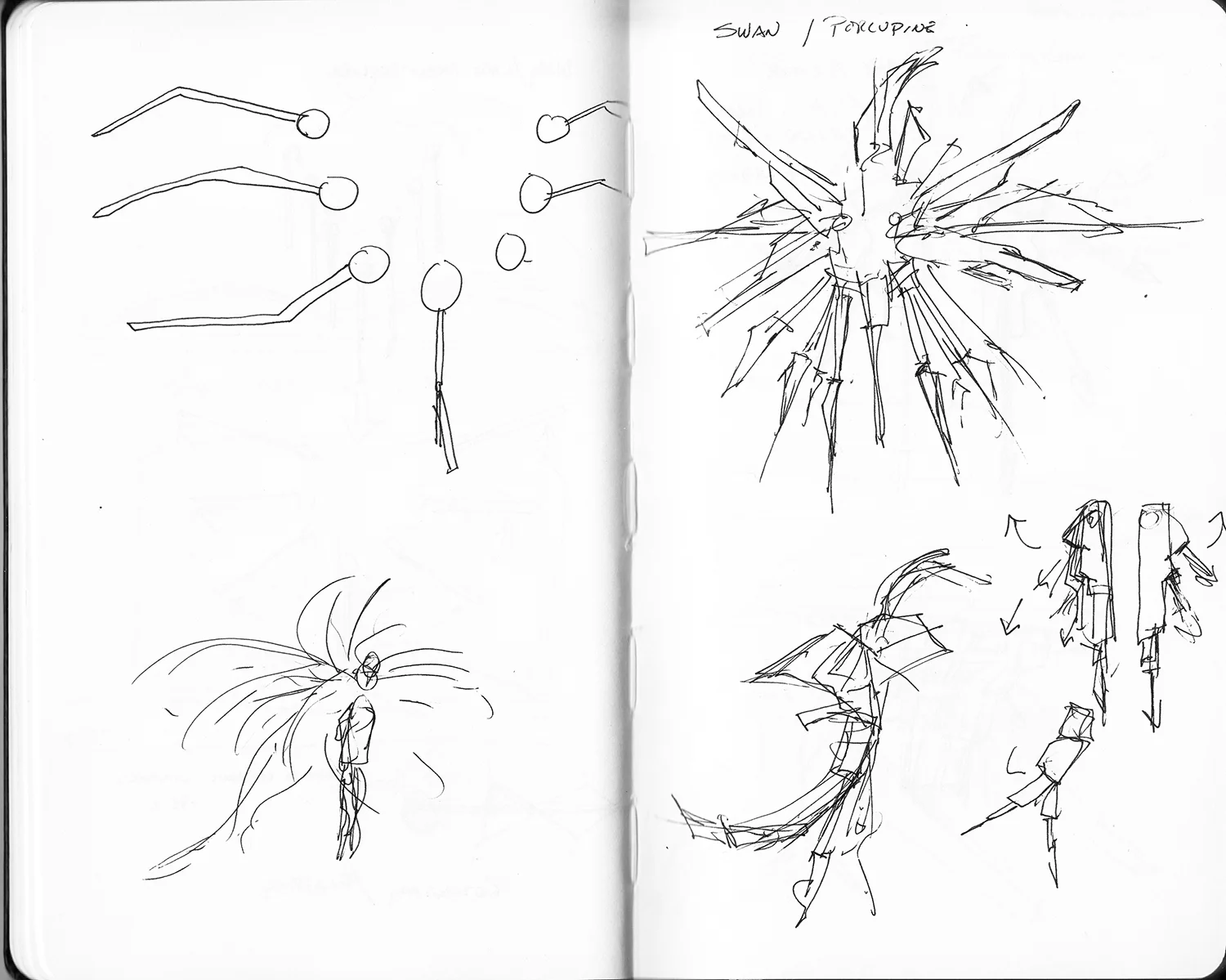 Swans_sketch02.jpg