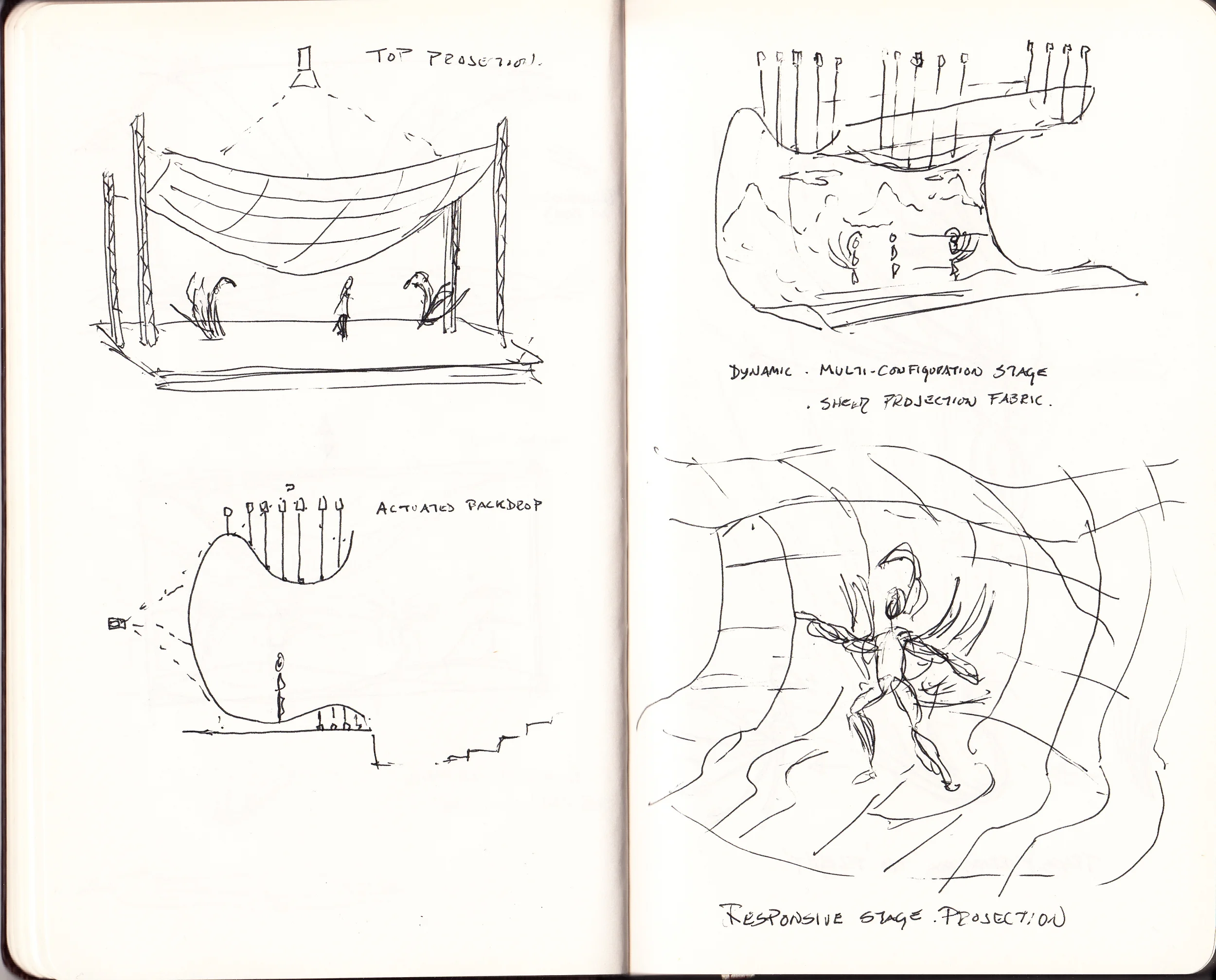 Swans_sketch07.jpg