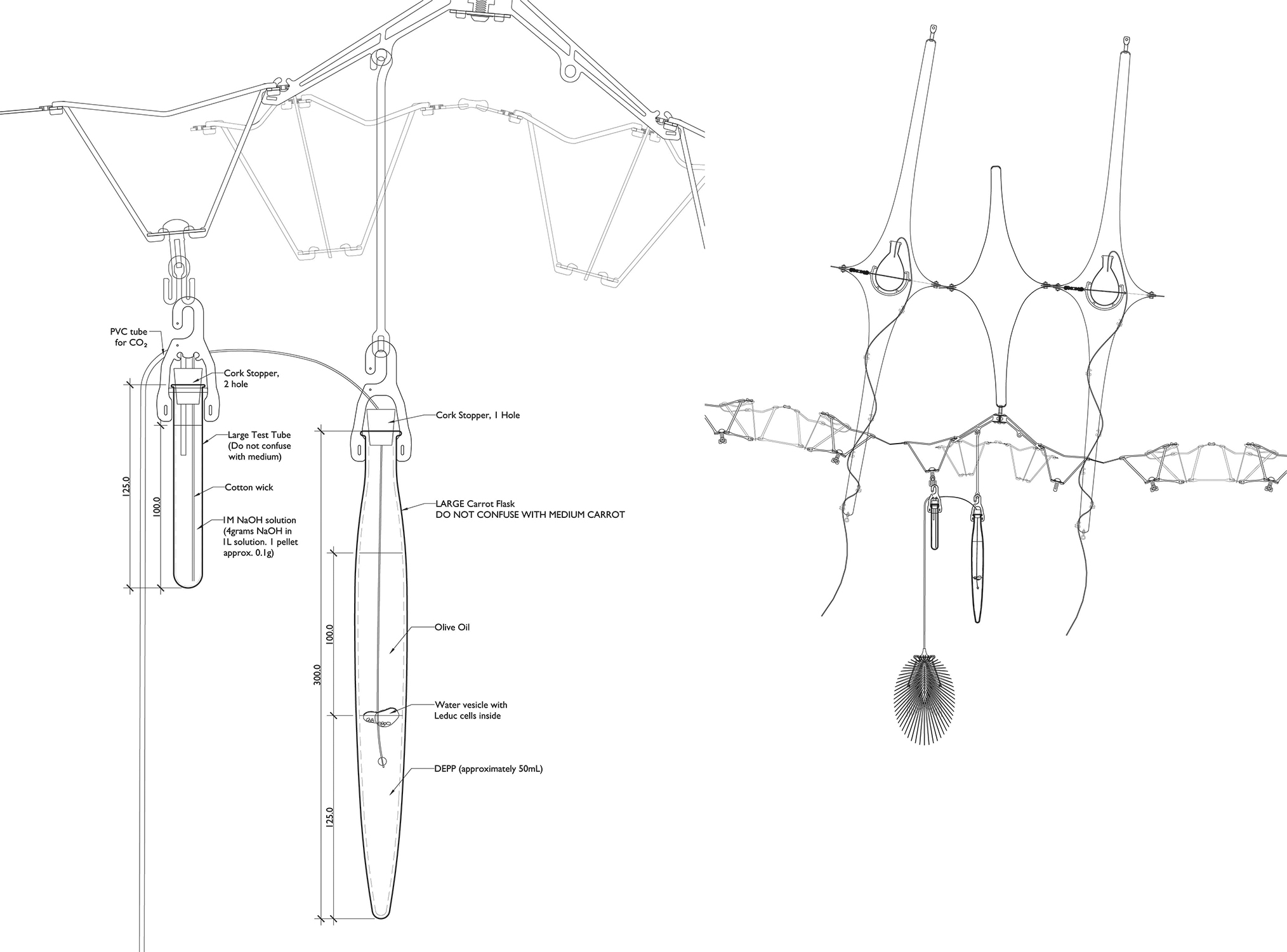 13D03_1218 Leduc Cell System.jpg