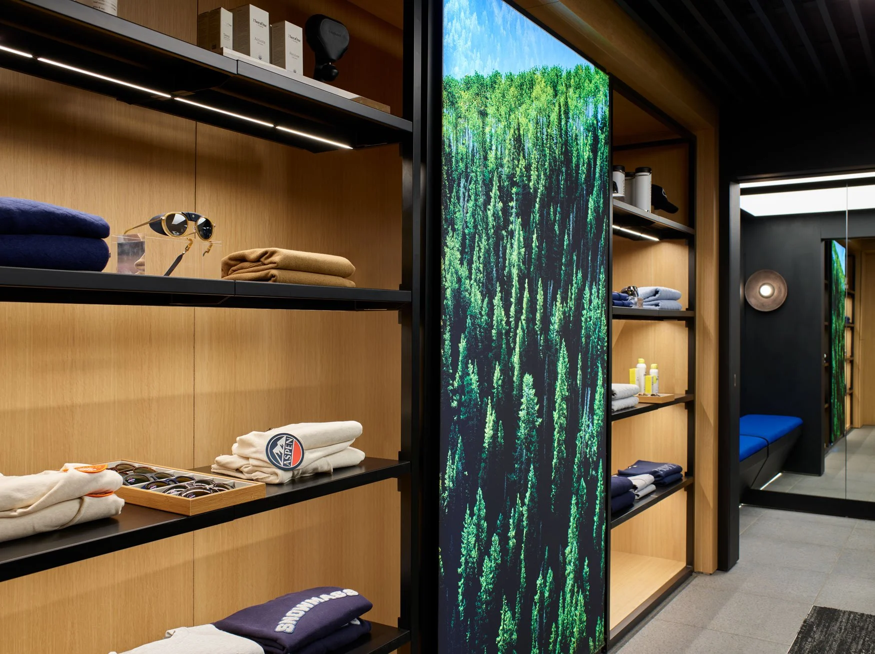 aspenx_merchandised_70888.jpg
