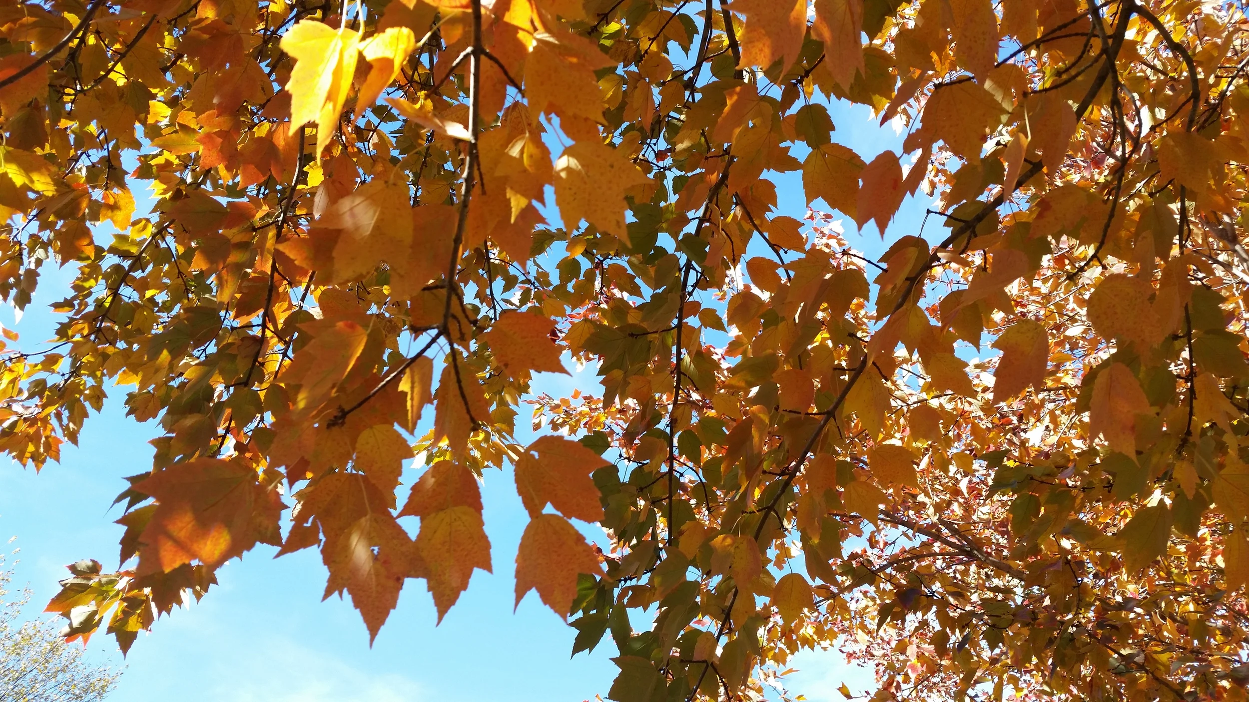 2014-11-07 14.10.03.jpg